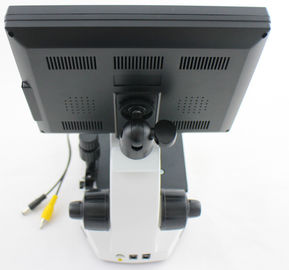 มืออาชีพจุลภาคกล้องจุลทรรศน์ / Nailfold กล้องจุลทรรศน์ฝอยด้วยกล้องวิดีโอ CCD